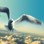 jonathan_livingston_seagull__94