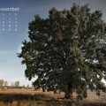 November Wallpaper